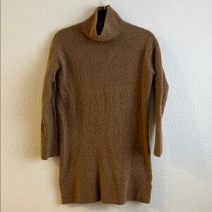 Everlane Warm Brown Turtleneck Sweater Dress